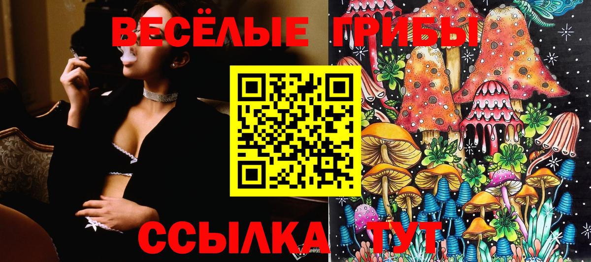 Псилоцибиновые грибы мухоморы  Вход с VPN  Новотроицк 